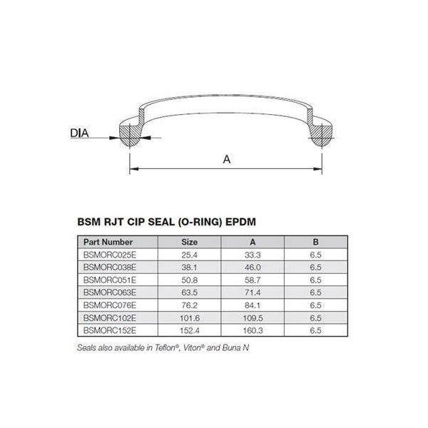 SEAL BSM RJT- 4" O'RING 101.6mm
