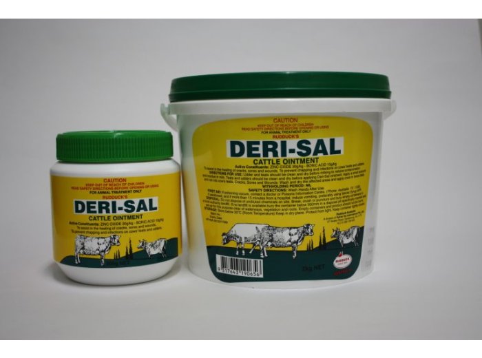 Deri-Sal 500g
