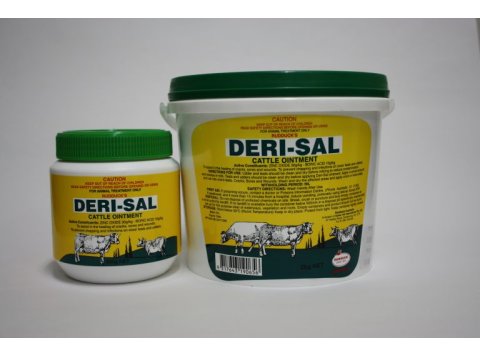 Deri-Sal 500g