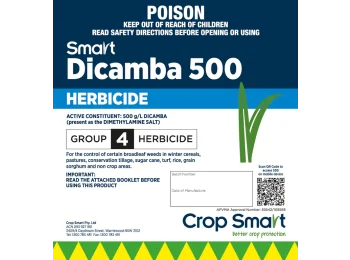 Smart DICAMBA 500