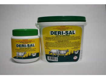 Deri-Sal 500g