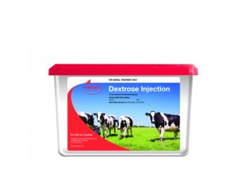Dextrose Solution 500mL Bag