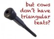SurePulse Triangle Liner T-A2W
